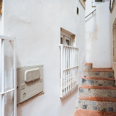 Cozy Flat Downtown Intendente And Graca 6 Apartment