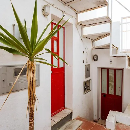 Apartment Cozy Flat Downtown Intendente And Graca 6