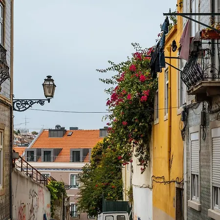 Cozy Flat Downtown Intendente And Graca 6 Apartment Lissabon